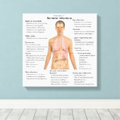 Grafiek van de bacteriële infecties bij de mens canvas afdruk (Insitu (Houten vloer))