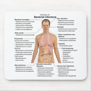 Grafiek van de bacteriële infecties bij de mens muismat