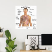 Grafiek van de belangrijkste symptomen van een Caf Poster (Thuiskantoor)