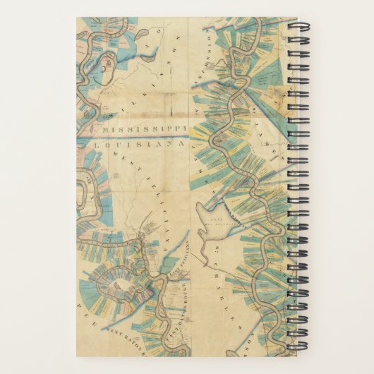 Grafiek van de benedenloop van de Mississippi Planner (Achterkant)