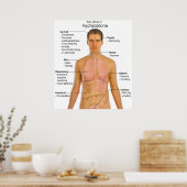 Grafiek van de bijwerkingen van Opioïd Hydrocodon Poster (Keuken)