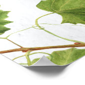 Grafiek van de gevarenzone Grieks eiland Wedding S Poster (Hoek)