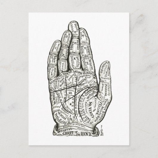 "Grafiek van de Hand" voor Palm Reading / Palmistr Briefkaart (Voorkant)