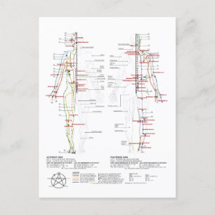Grafiek van de Meridians van de mens Briefkaart
