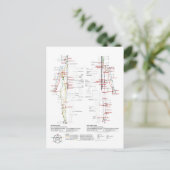 Grafiek van de Meridians van de mens Briefkaart (Staand voorkant)