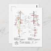 Grafiek van de Meridians van de mens Briefkaart (Voorkant / Achterkant)