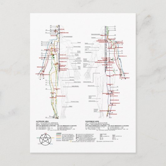 Grafiek van de Meridians van de mens Briefkaart (Voorkant)