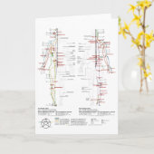 Grafiek van de Meridians van de mens Kaart (Gele Bloem)
