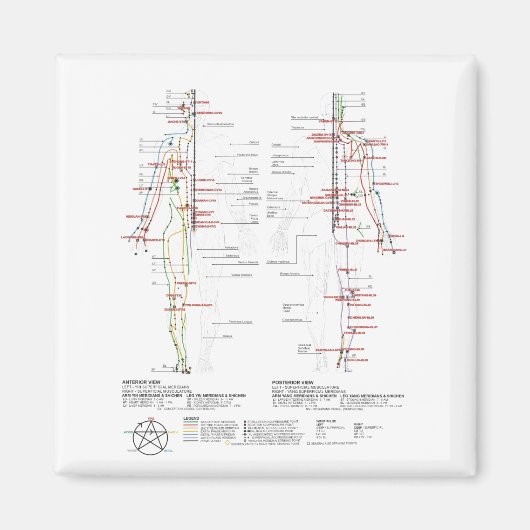 Grafiek van de Meridians van de mens Magneet (Voorkant)
