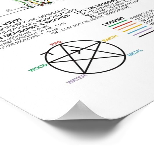 Grafiek van de Meridians van de mens Poster (Hoek)