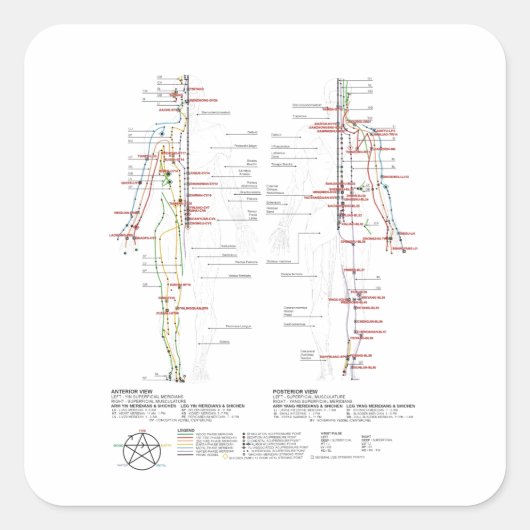 Grafiek van de Meridians van de mens Vierkante Sticker (Voorkant)