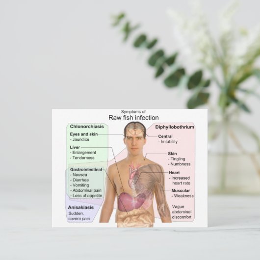 Grafiek van de symptomen van de ruwe visinfectie briefkaart (Staand voorkant)