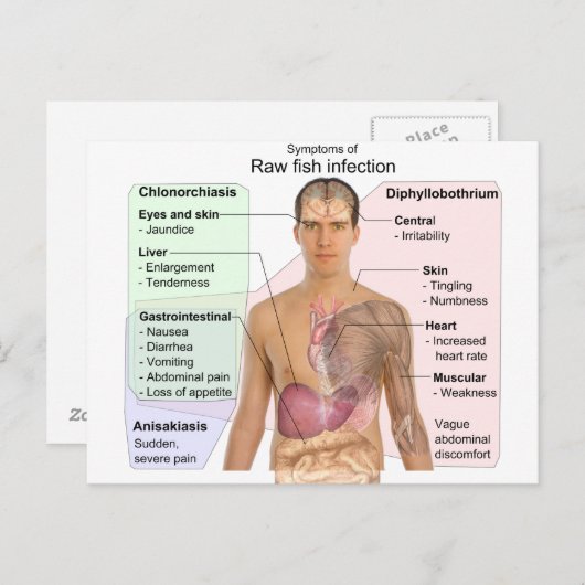 Grafiek van de symptomen van de ruwe visinfectie briefkaart (Voorkant / Achterkant)