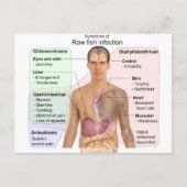 Grafiek van de symptomen van de ruwe visinfectie briefkaart (Voorkant)