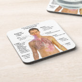 Grafiek van de symptomen van pneumonie onderzetter (Linkerzijde)