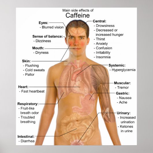 Grafiek van de voornaamste bijwerkingen van cafeïn poster (Voorkant)