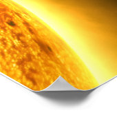 Grafiek van grootte van de Planten & Zon in ons Zo Poster (Hoek)