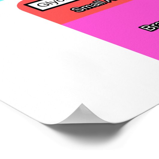 Grafiek van het fundamentele metabolisme in levend poster (Hoek)