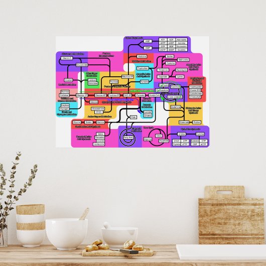 Grafiek van het fundamentele metabolisme in levend poster (Keuken)