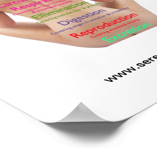 Grafiek voor backzone poster (Hoek)