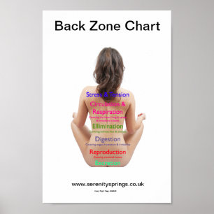 Grafiek voor backzone poster