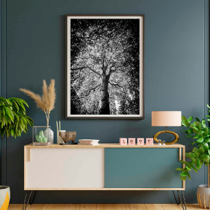 GRAFIEK VOOR BROKEN EN Wit-BEELDSCHERM Poster