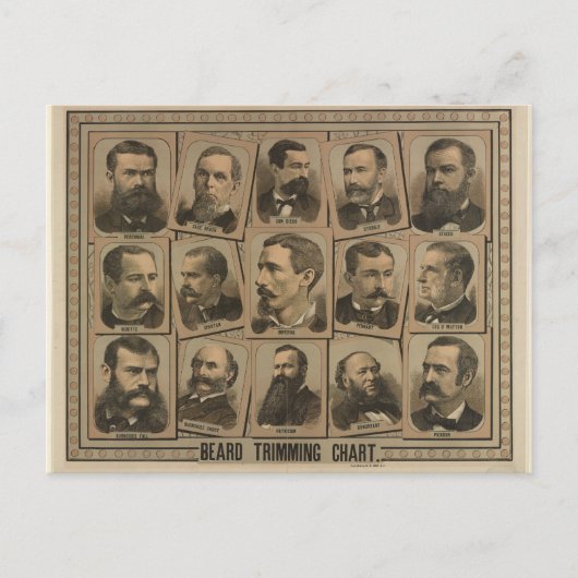Grafiek voor de boomvorming van de baard uit 1884 briefkaart (Voorkant)