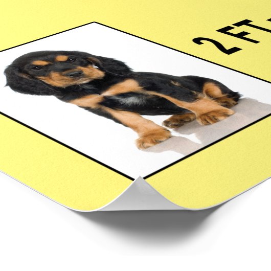 Grafiek voor de groei van Puppies Poster (Hoek)