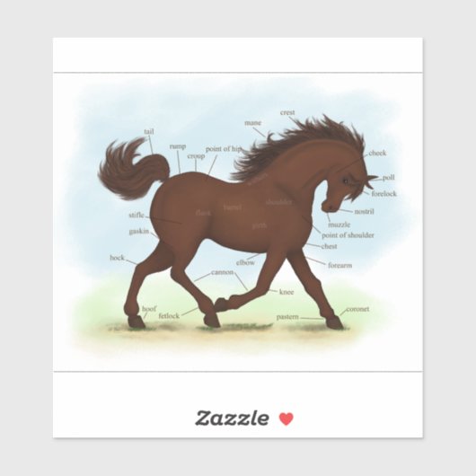 Grafiek voor donkere Pony paarden Anatomie Chart E Sticker (Vel)