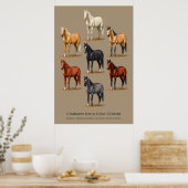 Grafiek voor Paarden Vaste kleefkleuren Poster (Keuken)