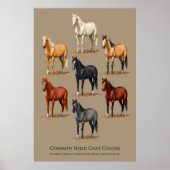 Grafiek voor Paarden Vaste kleefkleuren Poster (Voorkant)
