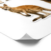 Grafiek wilde dieren poster (Hoek)