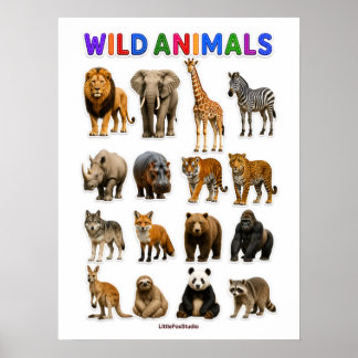 Grafiek wilde dieren poster
