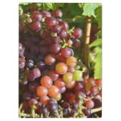 Grafieken Klembord voor goede gezondheid (Achterkant)