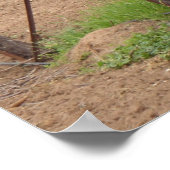 Grafieken op de wijnstokfoto - Winnerfoto Poster (Hoek)