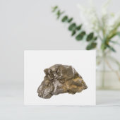 Grafiet, Danville, Vermont, de V.S. Briefkaart (Staand voorkant)