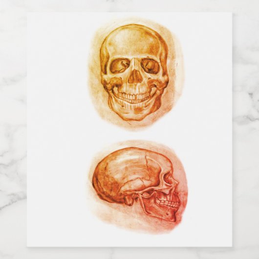 Grafietstudie schedeletiket wijn etiket (Enkel label)