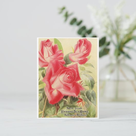 grafisch Briefkaart (Staand voorkant)