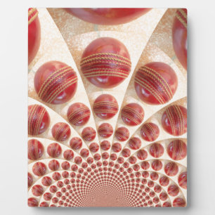 Grafisch  cricketspel van Champions.jpg Fotoplaat