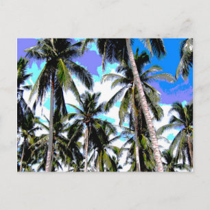 Grafisch ontwerp met palmbomen briefkaart