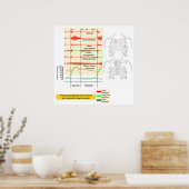 Grafisch Registreren van het Diagram van de Geluid Poster (Keuken)