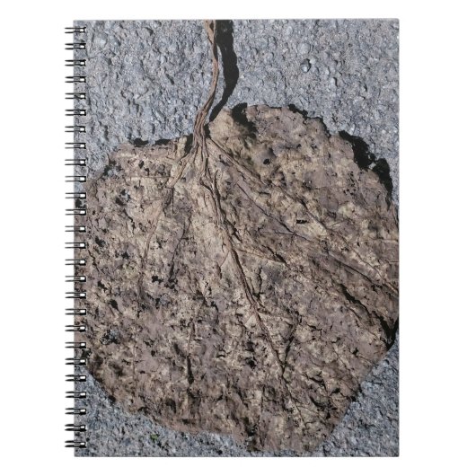 Grafisch/Struktuur Notitieboek (Voorkant)