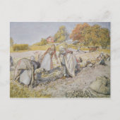 Grafische aardappelen, 1905 briefkaart (Voorkant)