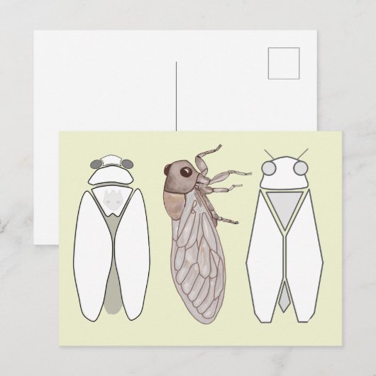 Grafische cicada en cicadomandril. briefkaart (Voorkant / Achterkant)