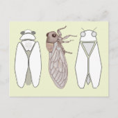 Grafische cicada en cicadomandril. briefkaart (Voorkant)