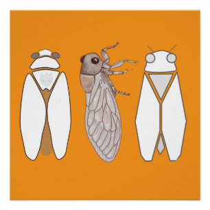 Grafische cicade en cicadenzangers perfect poster