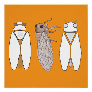 Grafische cicade en cicadenzangers perfect poster