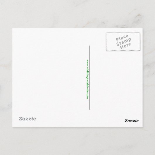 Grafische handgetekende ARMADILLO - Bedreigd dier Briefkaart (Achterkant)