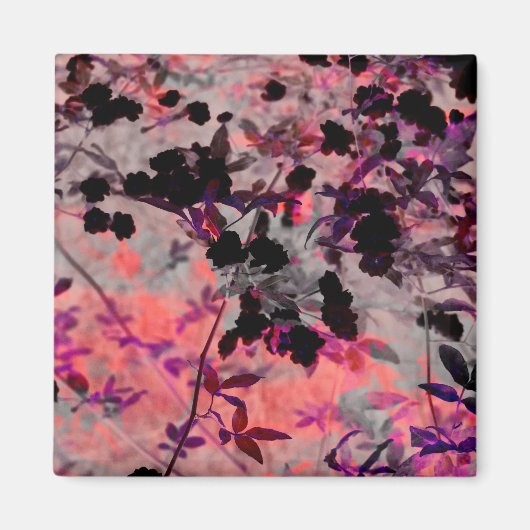 Grafische kunst met rode zwarte bloem magneet (Voorkant)