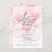 Grafische liefde in bloei, roos voor kalligrafisch kaart (Voorkant / Achterkant)